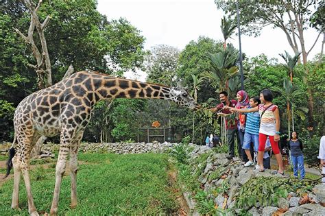 Melaka Zoo Tickets Price 2024 + [Promotions / Online Discounts]