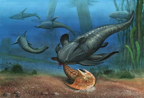 Devonian Period: Climate, Animals & Plants | Paleontology World