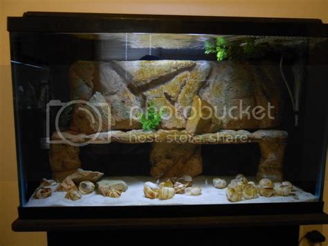 Aquascape Problems.... | Cichlid Fish Forum