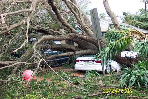 Hurricane Wilma - Aftermath - October 2005 | Ron Gunzburger | Flickr