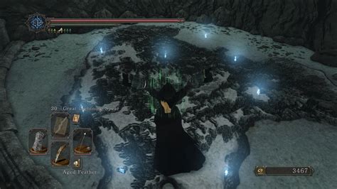 Finally, I got all 8 blue flames on the Map. Walkthrough in comments : r/DarkSouls2