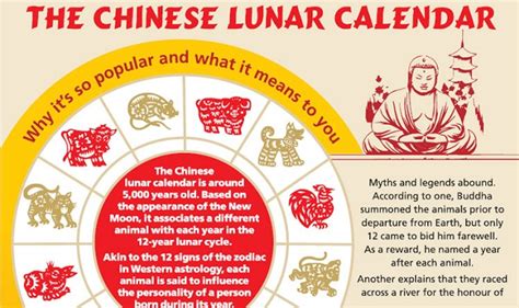 The Chinese Lunar Calendar #infographic - Visualistan