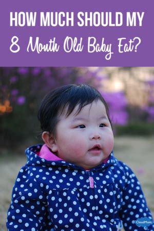 Wondering how much your baby should eat? Here is a helpful 8 month old feeding schedule! Infant ...