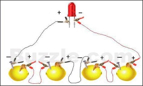 lemon battery experiment | Light bulb science project, Science experiments kids, Science experiments