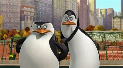 Skipper and Kowalski. - Penguins of Madagascar Photo (37068148) - Fanpop