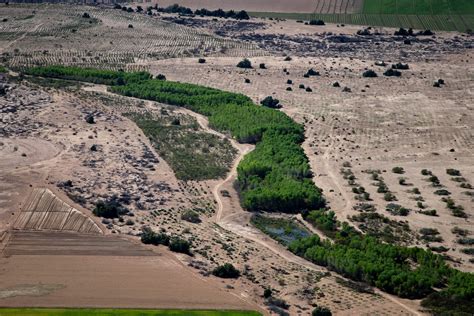 How Mexico's dry Colorado River Delta is being restored piece by piece