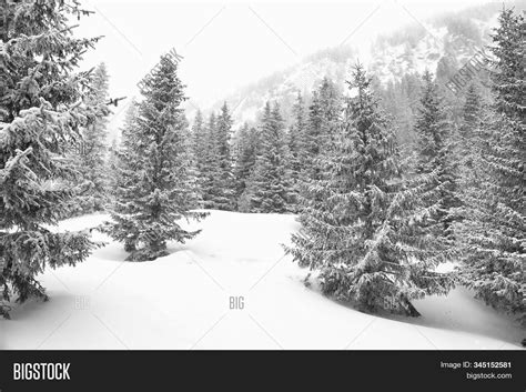 Black White Winter Image & Photo (Free Trial) | Bigstock