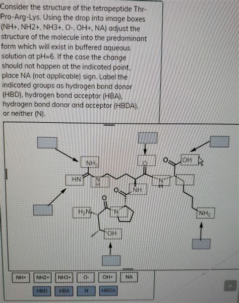 Solved Consider the structure of the tetrapeptide Thr- | Chegg.com