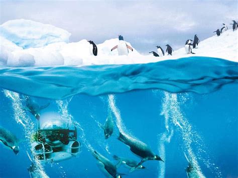 Scenic Eclipse Luxury Antarctica Cruises - Meon Valley Travel