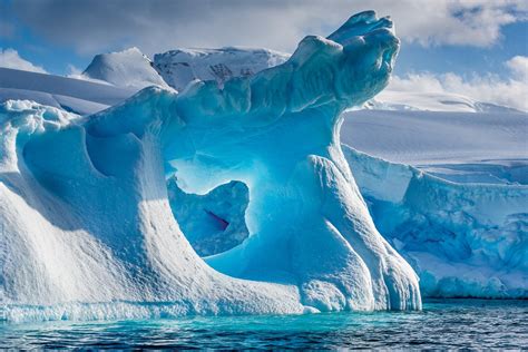 Reportajes y fotografías de Antártida en National Geographic