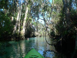 Gainesville day trip - Kayaking Crystal River