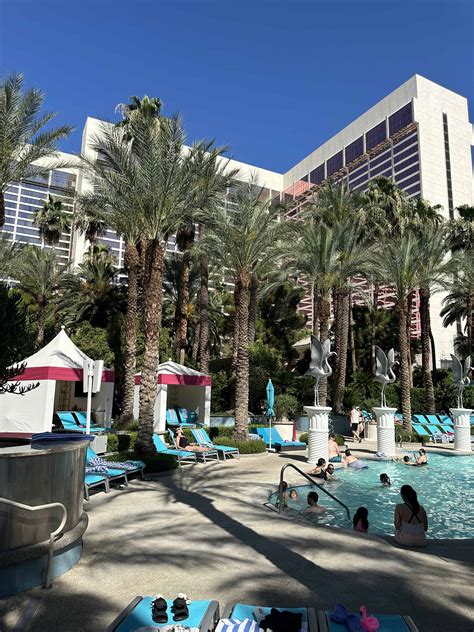 Flamingo Las Vegas Pools: Hours, Amenities and Pricing - Midlife Miles