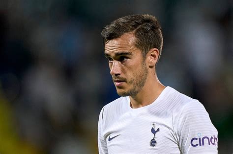 Harry Winks: Tottenham’s outcast who desperately needs to play - The Athletic