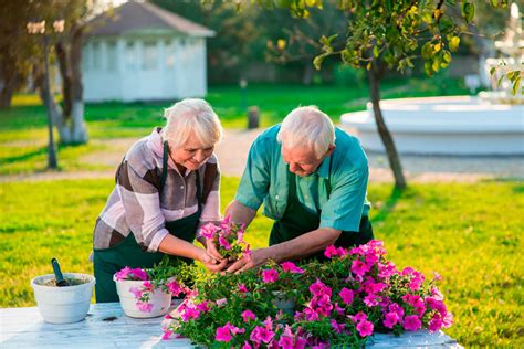 Gardening Tips for Seniors: Protect Yourself and Enjoy the Outdoors