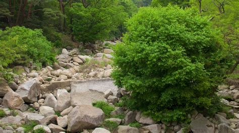 Bukhansan National Park Tours - Book Now | Expedia