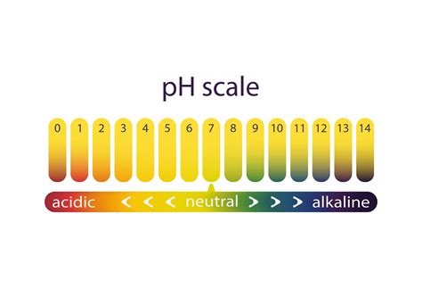 Acidity scale of litmus indicator paper, color gradient 5737531 Vector ...