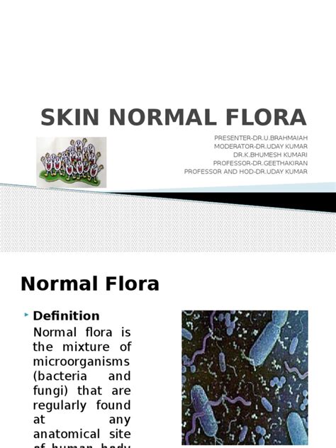 Skin Normal Flora | Staphylococcus | Streptococcus