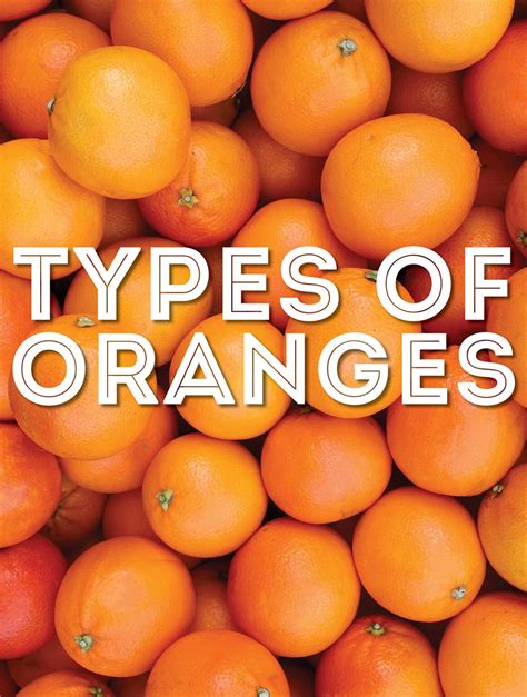 39 Types Of Oranges From A to Z (With Photos!) | Live Eat Learn