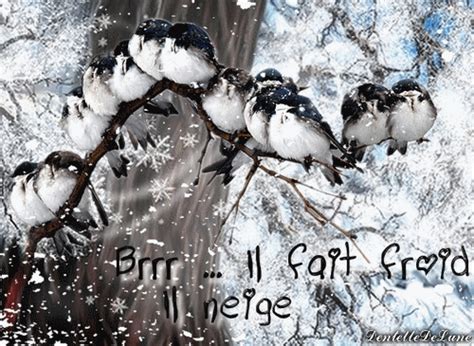 gif-animé-brrr-il-fait-froid-il-neige-oiseaux-sur-branche - les gifs animés de dentelledelune