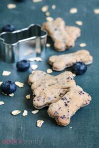 Easy Blueberry Dog Treats - Pook's Pantry Recipe Blog