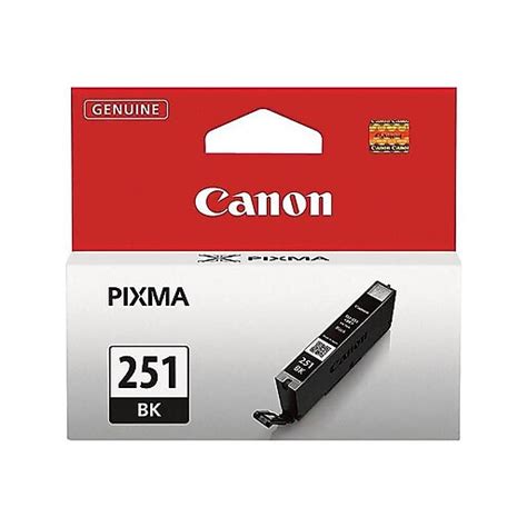 Canon CLI-251 Black Standard Yield Ink Cartridge (6513B001) at Staples