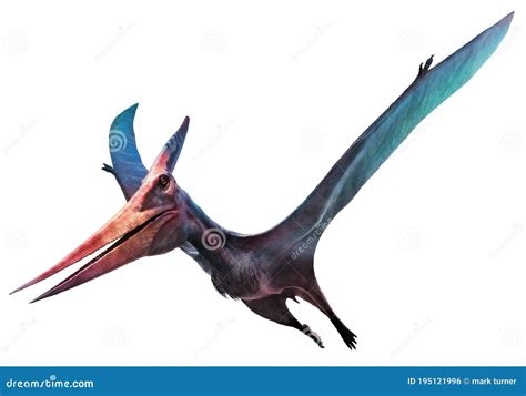 Flying Dinosaur Pteranodon Royalty-Free Illustration | CartoonDealer.com #25603986