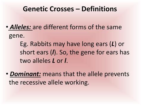 PPT - Chpt. 17 Genetic Crosses PowerPoint Presentation, free download - ID:6490405