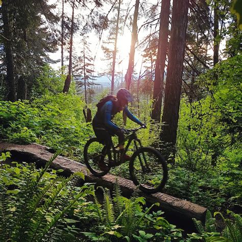 Coeur d'Alene, Idaho Mountain Bike Trails | Trailforks