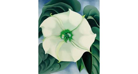 Try Collect | Jimson Weed The White Flower No. 1 by Georgia O’Keeffe paint