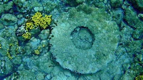 Underwater ancient Greek ruins Photo from Alikanas in Zakynthos ...