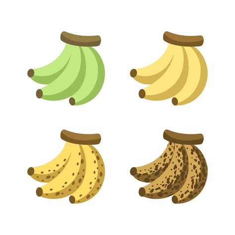 Ripening stages of bananas icon set. Banana ripeness color unripe to overripe. Fruit infographic ...