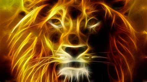 Lion Face HD Wallpapers - Wallpaper Cave