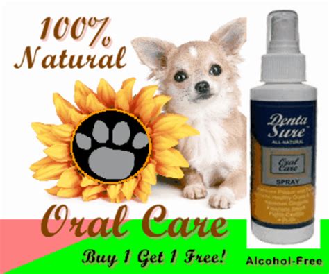 Dog Tartar Removal Products | A Listly List