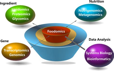 Mass spectrometry‐based lipidomics in food science and nutritional health: A comprehensive ...