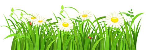 Download Grass Vector PNG Image for Free | Grass painting, Grass vector ...