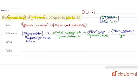 The second stage of hydrosere is occupied by plants like | 12 | ECOSYSTEM | BIOLOGY | VMC MODUL ...