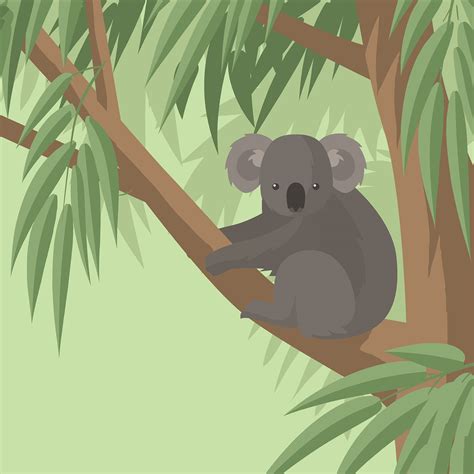 Koala in Gum Tree Free Vector 170572 Vector Art at Vecteezy