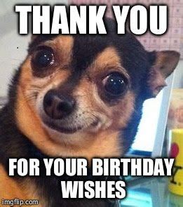 Funny Happy Birthday Meme to Say Thank you for your Birthday Wishes on ...