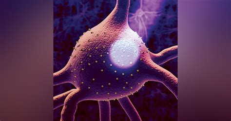 OPTOGENETICS: Noninvasive optogenetics potentially promising for human ...