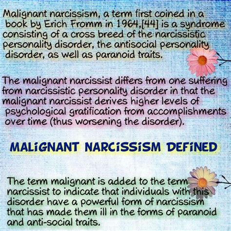 The Definition of Malignant Narcissism Narcissistic Sociopath, Narcissistic Personality Disorder ...