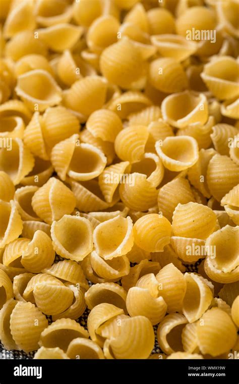 Dry Organic Macaroni Shells in a Pile Stock Photo - Alamy