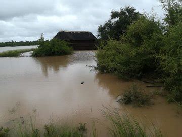 Kruger Park floods as Eloise strikes SA, roads under water in north of ...