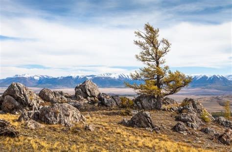 Altai Mountains – Unique Nature and Species of Animals