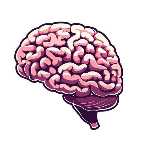 Human Brain Anatomy Cartoon Icon Isolated Vector Image | My XXX Hot Girl