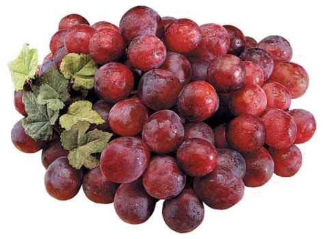 Organic Red Globe Grapes, 1 lb - King Soopers