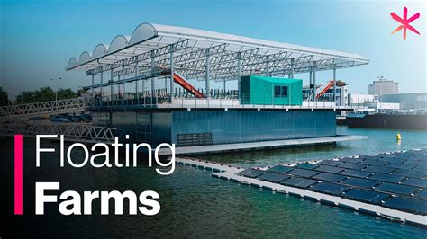 Floating Farm Takes Sustainable Agriculture to the Next Level - YouTube