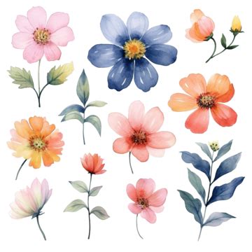 Flower Watercolor Transparency Clipart, Flower, Watercolor, Flower Watercolor PNG Transparent ...