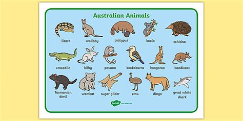 Native Australian Animals With Words Mat (Teacher-Made)