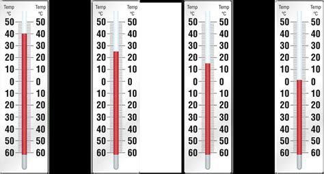 Mastering Meatloaf: Achieving Perfection with the Correct Internal ...