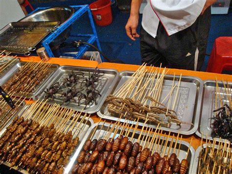 Stock Pictures: Fried and roasted insects